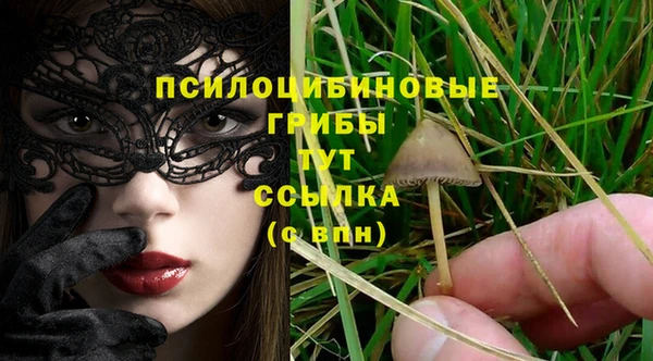 спиды Домодедово