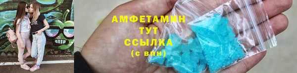 прущие грибы Сафоново