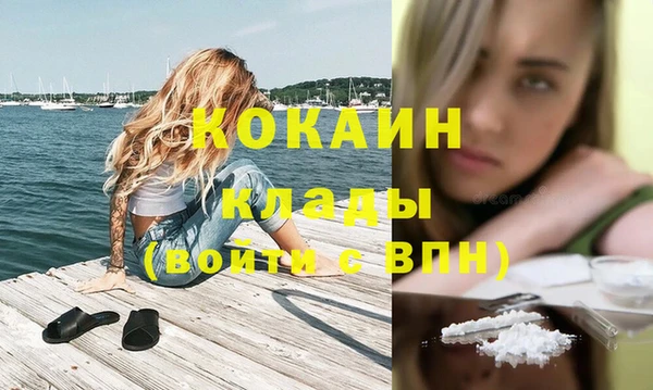 прущие грибы Сафоново