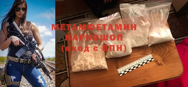 прущие грибы Сафоново